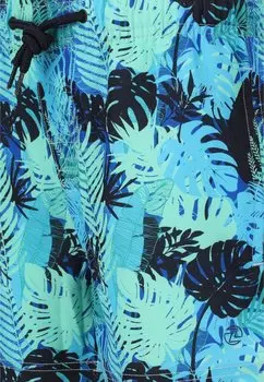 Шорты для плавания ZIGZAG, мультиколор