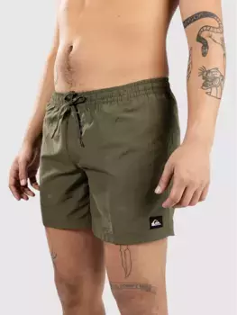 Шорты для серфинга Everyday Deluxe Volley 15 Quiksilver, фиолетовый