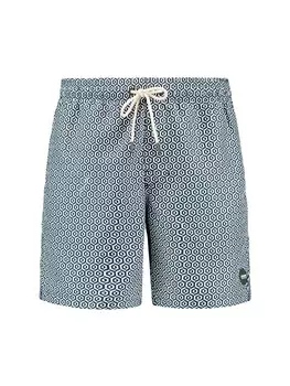 Шорты для серфинга Shiwi Mike, темно-зеленый