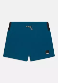 Шорты для улицы TEEN SHORTS UNISEX Jack Wolfskin, цвет blue daze