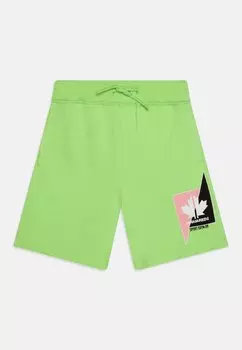 Шорты Dsquared2, цвет green