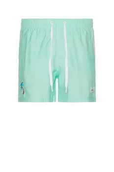 Шорты Duvin Design Palm Swim Short, цвет Teal