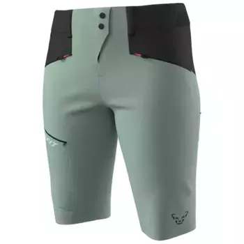Шорты Dynafit Transalper Dynastretch, зеленый