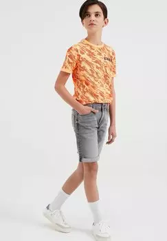 Шорты джинсовые BLUE RIDGE WE Fashion, цвет grey