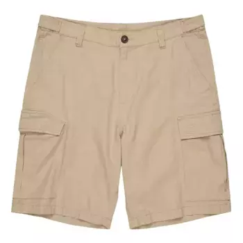 Шорты Element Legion Wk cargo, бежевый