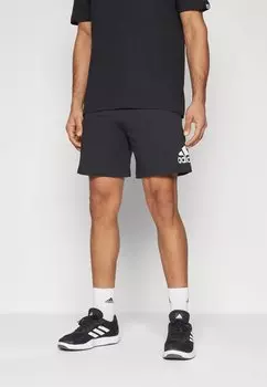 Шорты Essentials Logo adidas Sportswear, цвет black/white