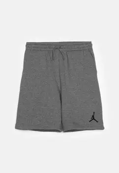 Шорты Essentials Unisex Jordan, цвет carbon heather