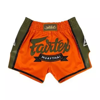 Шорты Fairtex BS1705