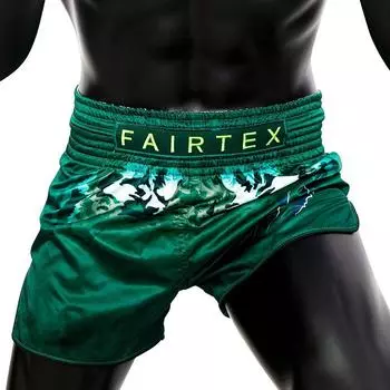 Шорты Fairtex BS1913