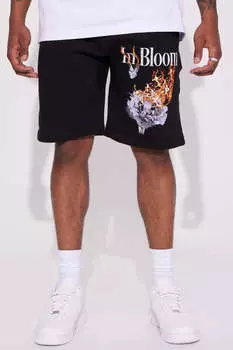 Шорты Fashion Nova 23014451, черный