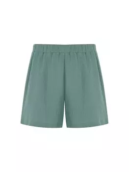 Шорты Freshlions, мятный