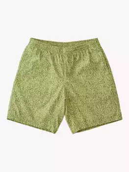 Шорты Gramicci Swell Patterned