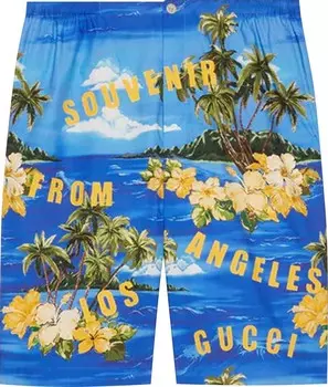 Шорты Gucci Poplin Shorts Blue/Yellow, синий