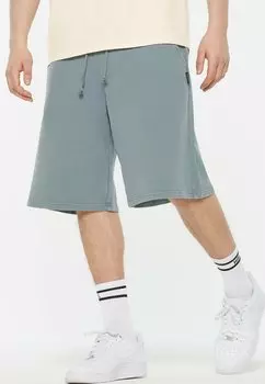 Шорты Harlem Soul, синий