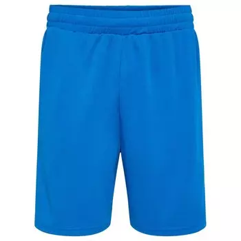 Шорты Hummel Flex Mesh, синий