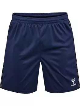 Шорты Hummel Hmlauthentic Multisport Herren, синий