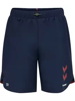 Шорты Hummel Hmlpro Multisport Herren, цвет black iris