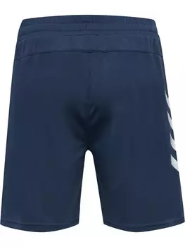 Шорты Hummel Hmlte Multisport Herren, цвет insignia blue/insignia blue
