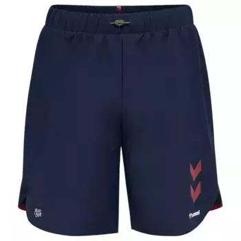 Шорты Hummel Pro XK Training, синий