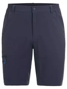 Шорты Icepeak Berwyn, антрацит