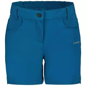 Шорты Icepeak Kechi, синий