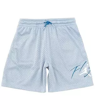 Шорты из сетки Jordan Big Boys 8–20 JDB Off Court Flight, синий