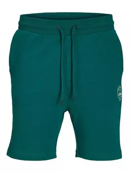 Шорты Jack & Jones JPSTSHARK SWEAT SHORTS AT SN, зеленый