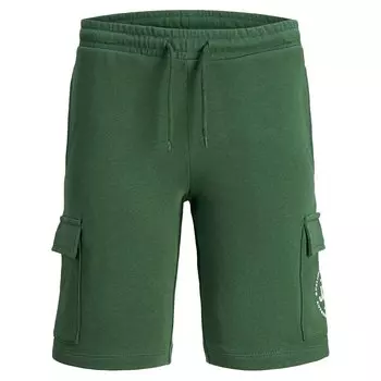 Шорты Jack & Jones Swift Sweat, зеленый