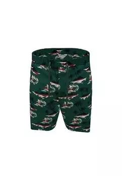 Шорты Jack & Jones, зеленый