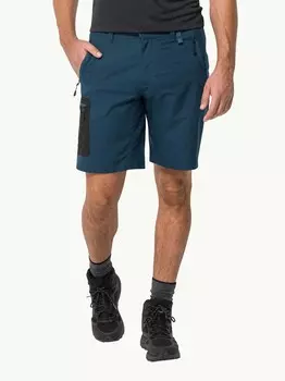 Шорты Jack Wolfskin ACTIVE TRACK MEN, синий