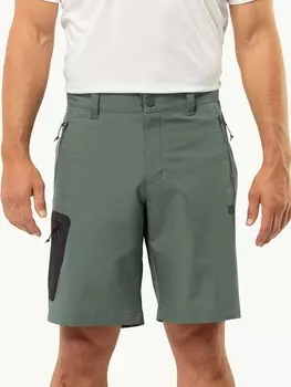 Шорты Jack Wolfskin ACTIVE TRACK SHORTS M, зеленый
