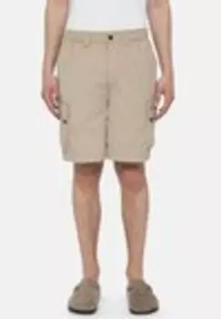 Шорты JACKSON Dickies, бежевый
