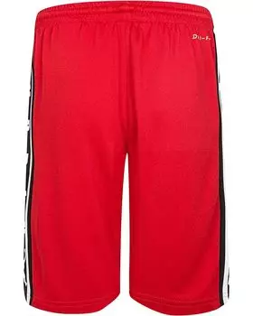 Шорты Jordan Jordan Dri-FIT Shorts, цвет Gym Red