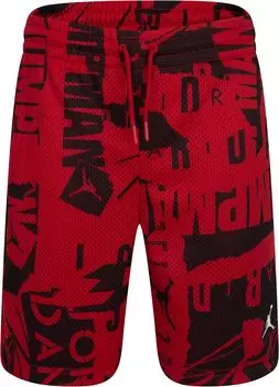Шорты Jordan Printed Mesh Shorts, цвет Gym Red