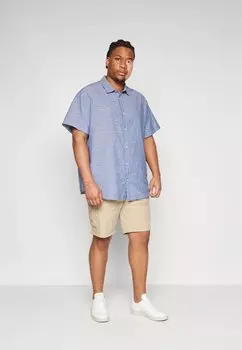 Шорты Jpstcole Jjcampaign Jack & Jones, бежевые