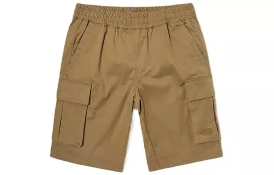 Шорты-карго мужские цвета хаки The North Face, хаки