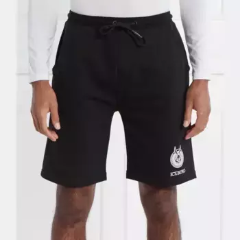 Шорты классического кроя Iceberg x Looney Tunes Iceberg, черный