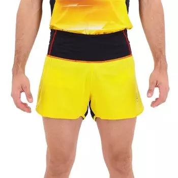 Шорты La Sportiva Tempo, желтый