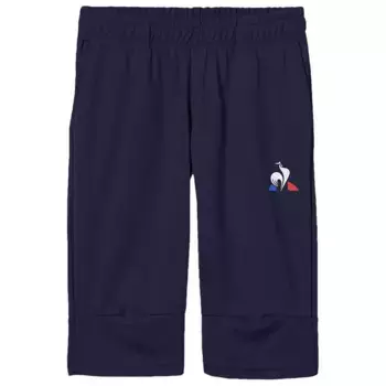 Шорты Le Coq Sportif Training N1, синий
