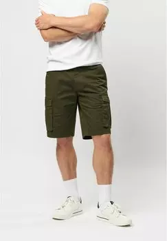 Шорты LINUS U.S. Polo Assn., зеленый