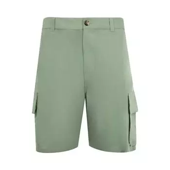 Шорты Loewe Cargo Shorts 'Sage', зеленый