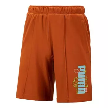 Шорты logo nature shorts 'brown' Puma, коричневый