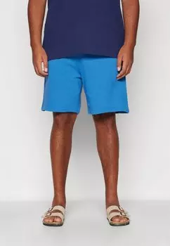 Шорты Lyle & Scott, весенние синие