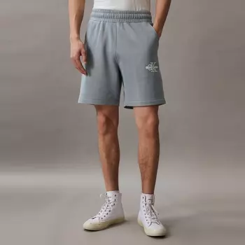 Шорты мужские Calvin Klein Jeans с принтом букв, зеленый / серый