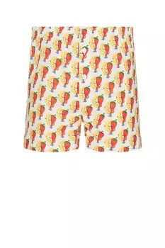 Шорты мужские Unisex Shana Moon Strawberry Logo Boxers Woven Sky High Farm Workwear, мультиколор