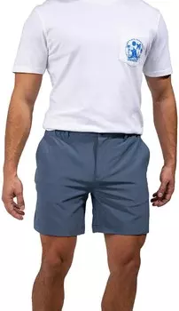 Шорты на каждый день – мужские Chubbies, синий