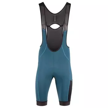 Шорты Nalini Bas Journey Bib, синий