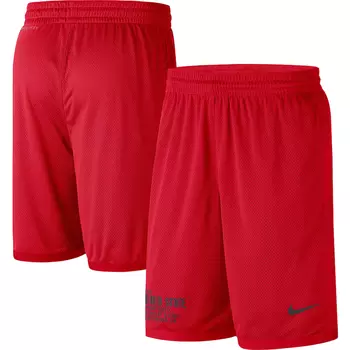 Шорты Nike Ohio State Buckeyes, алый
