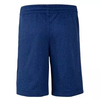 Шорты Nike с сеткой для мальчиков 4–7 лет Nike