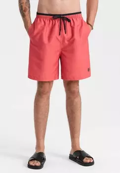 Шорты Ombre, розовый